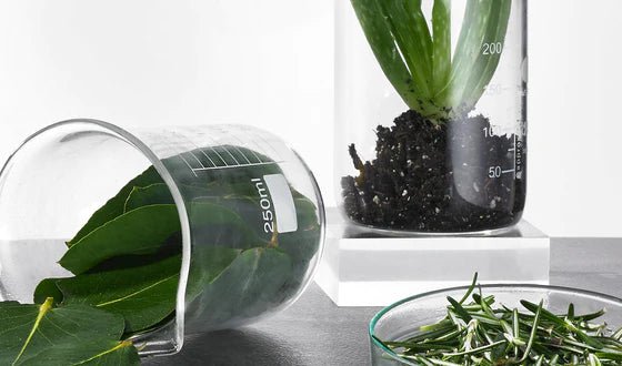 Parhaat vinkit oikean kuorinnan valintaan - Medik8.fi